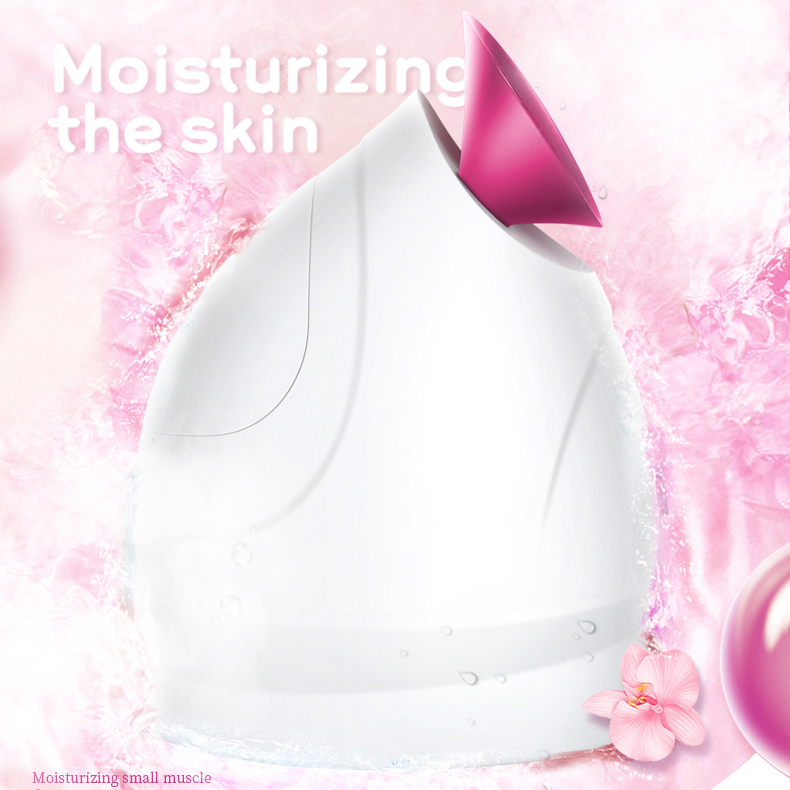 New Arrival 2 In 1 Facial Sprayer Hot Cold Fine Mist Moisturizing Electric Face Steamer