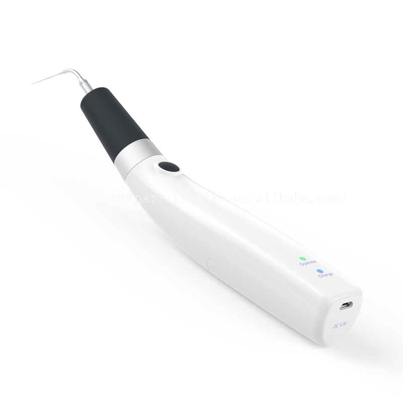 Dental equipment Dental Endo Ultrasonic Activator Tools Dental Endo Root Canal Irrigator 6 tips