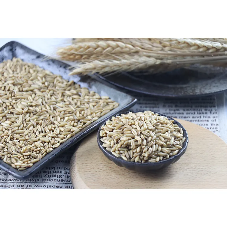 Wholesale High Quality Rolled Oats Listing Limited Time Offer Cheap Organic Oats Kernels