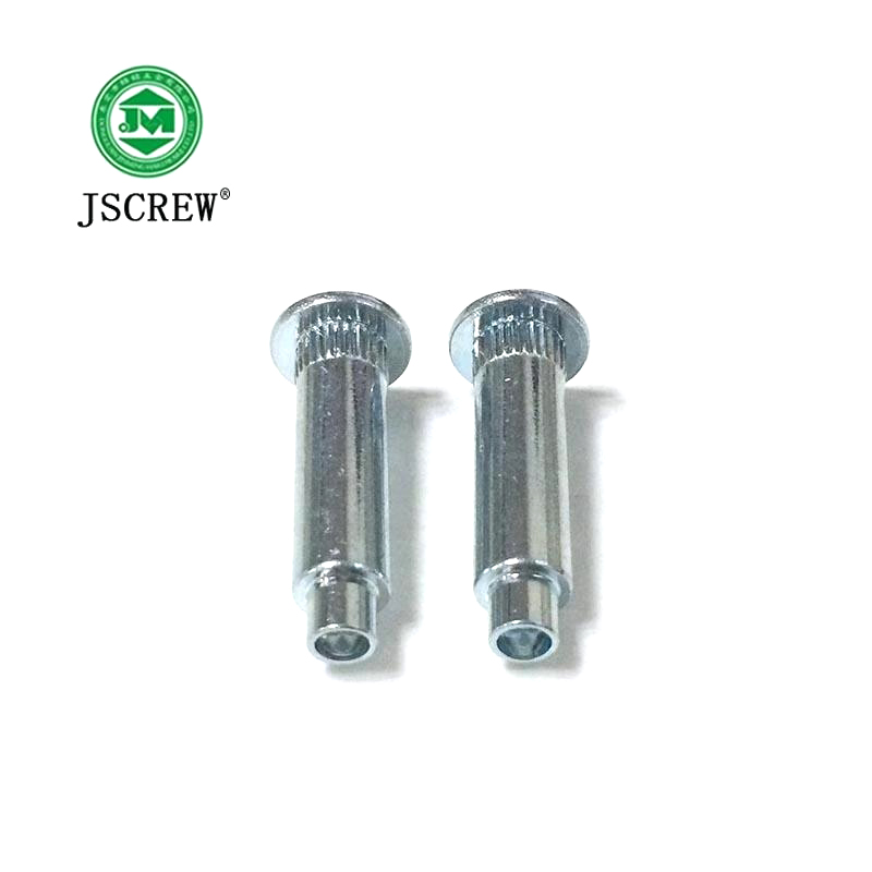 Cheap Price plastic wrought iron blind flat head rivet nut with factory prices