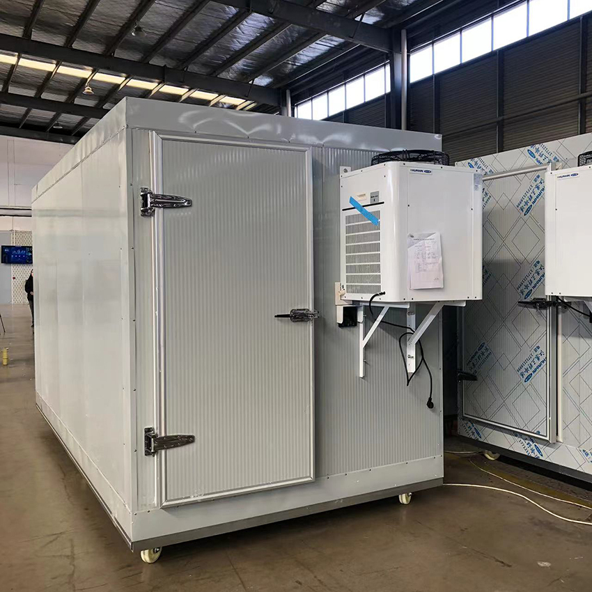 Commercial Easy to Install Cold Chiller Freezer Room Large Capacity Mobile Storage Delivery With Disassemble