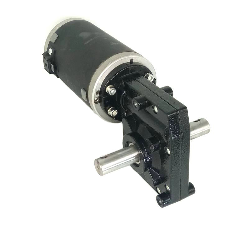 Dual Shatf High Torque Carbon Brush Electric 12V 24V 48V 60V Worm Gear 500 W Dc Motor For Golf Car