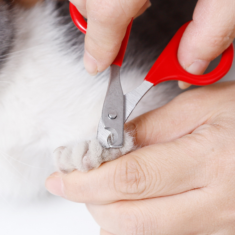 Wholesale Alloy Steel Nail clip For Pet Cat Nail Clipper