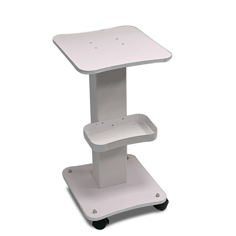 Spa Cart Beauty Salon Trolley 4-wheel Mobile Portable Facial Beauty Machine Trolley