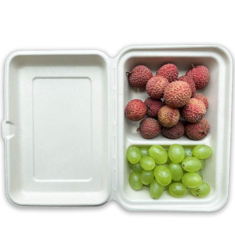 100% biodegradable disposable tableware paper sugarcane containetableware microwave bagasse paper rectangular two grid lunch box