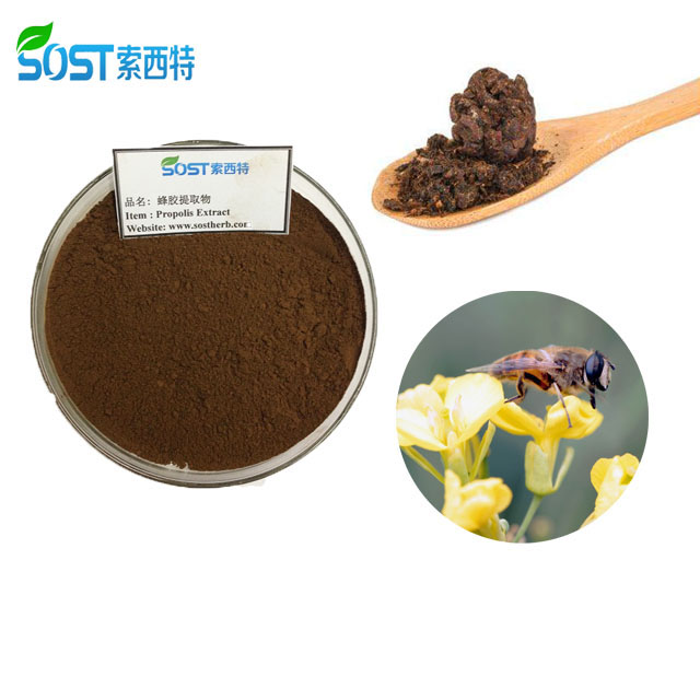 Health Care Grade Dry Bee Propolis Extract 70% Propolis Flavone