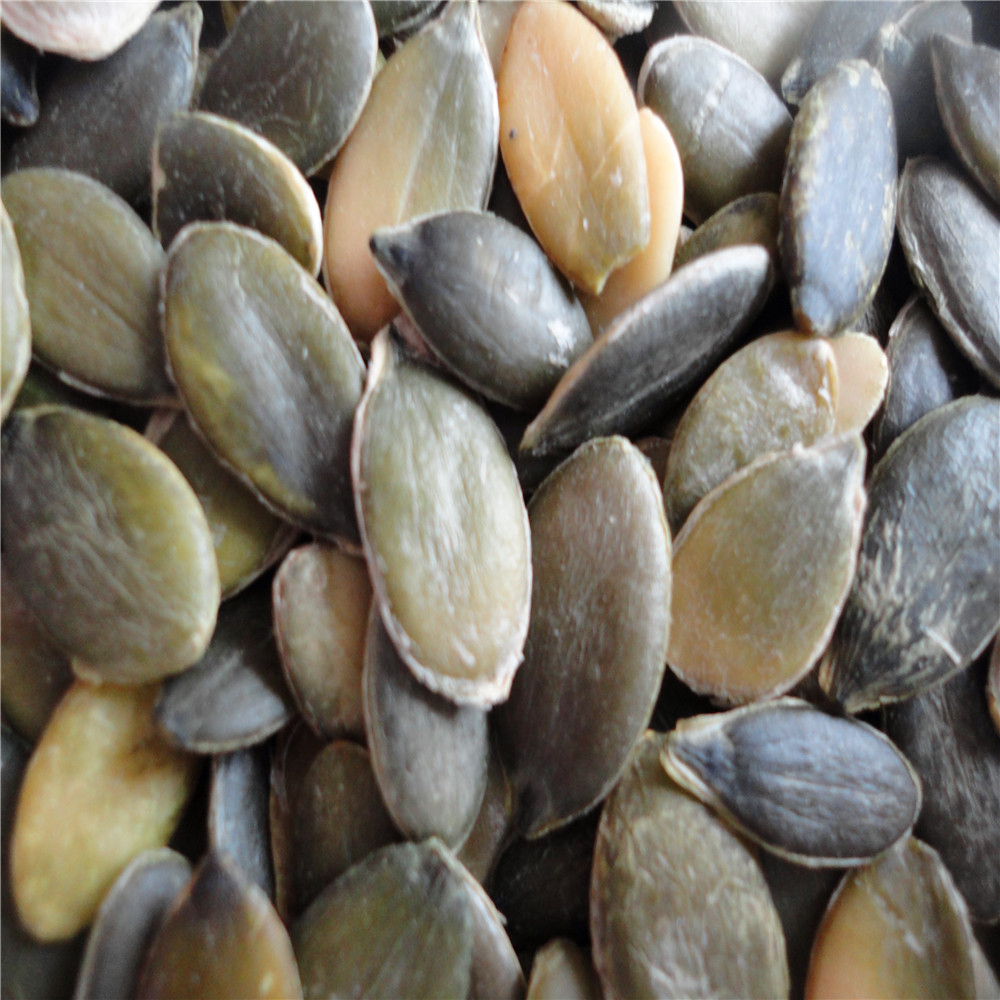 Pumpkin Kernels