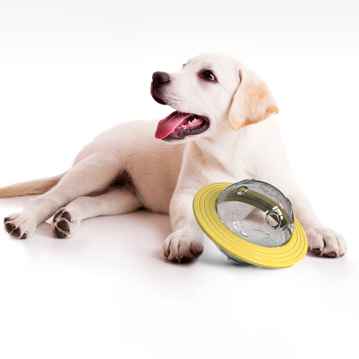 Wholesale customize Amazon top seller funny dog toy pet dog chew toy puzzle pet foraging toy