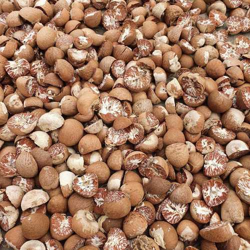 A3 A4 A5 качественный сушеный на солнце Betel из Индонезии