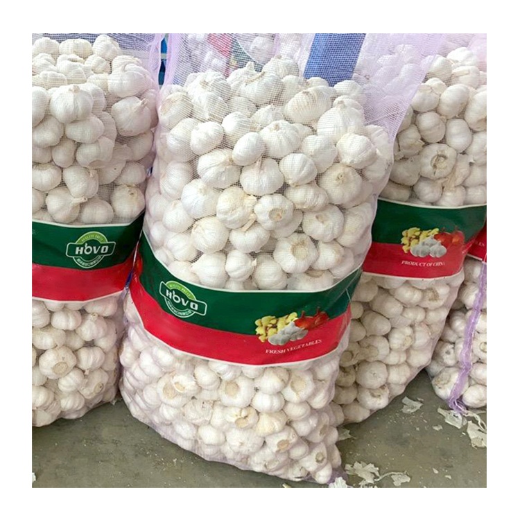 Garlic Chinese fresh pure white garlic for wholesale fresh vegetables in 20kg mesh bags/cartons factory price fresh white garlic