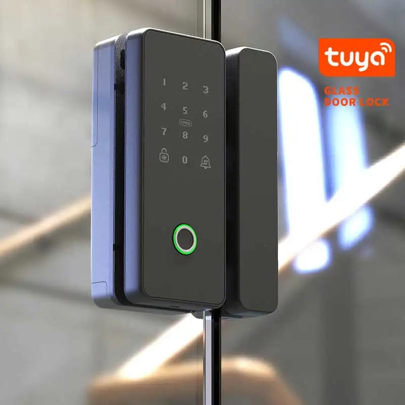Умный Цифровой Wifi биометрический отпечаток пальца Алюминиевый Электрический нижний туя дверной замок два безрамочных раздвижных стеклянных дверного замка