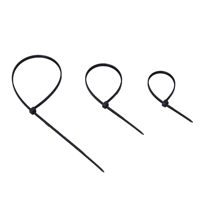 Best-selling Chinese new manufacturer factory plastic self-locking nylon tie