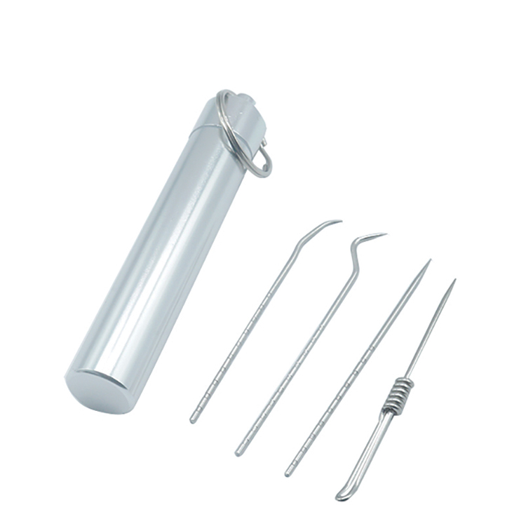 Outdoor Travel Reusable Stainless Steel Toothpick Set Waterproof Holder Pocket Key Chain