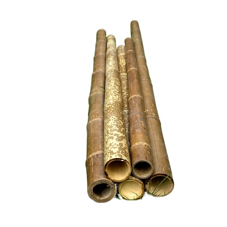Decorative Bamboo Raw Materials Speckled, Tiger bamboo materials for decoration, Eco-friendly bamboo materials