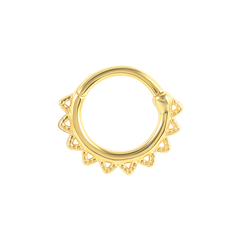 ROXI Hoop Earring Nose Ring Piercing Jewelry Cartilage Helix Rook Ear Ring Wholesale