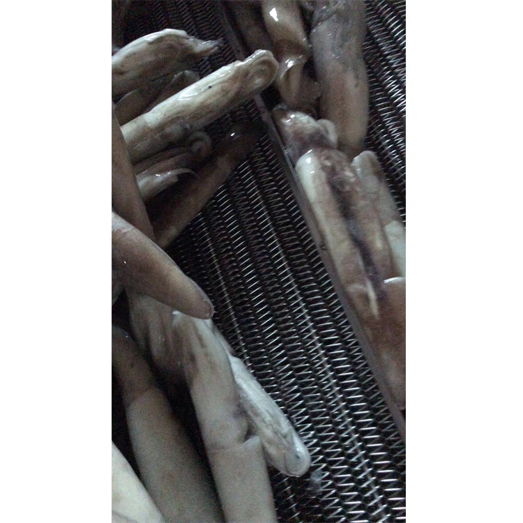 Замороженные кальмары, замороженные морепродукты, экспорт красивых кальмаров в Аргентину
