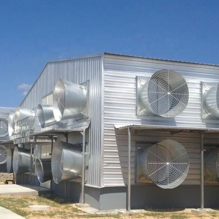 Prefab легкая стальная конструкция Бройлер куриный дом