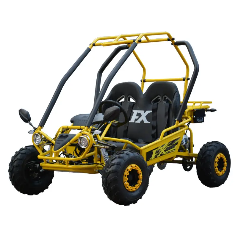 New Go Karts 110cc/125cc karts dune buggy two-seater for Child