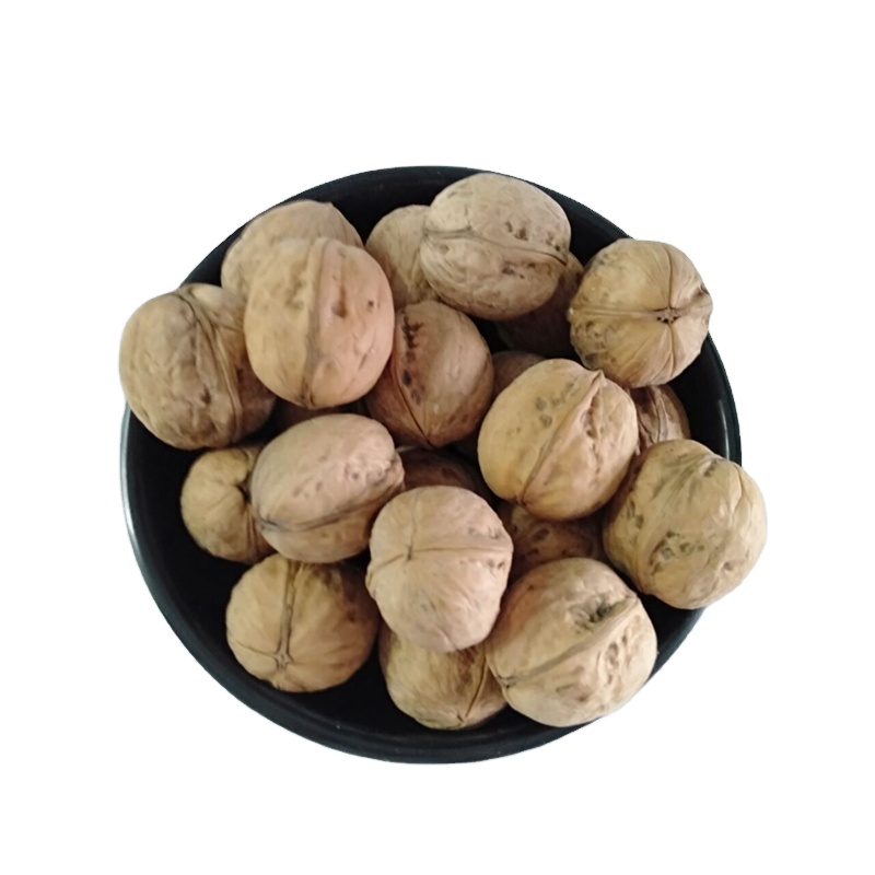 Walnut Supplier Washed Xin2 Walnut Inshell ( Chandler Walnut ) 32mm+ with 25KGS Pack from China