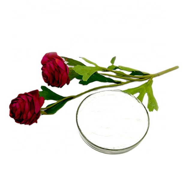 sterile hyaluronic acid concentrate for lips