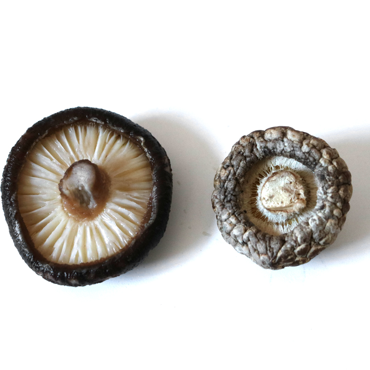 Wholesale Dried Shiitake Mushroom High Quality Organic Dried Flower Shiitake Mushroom Whole Mushroom( 4-5cm )