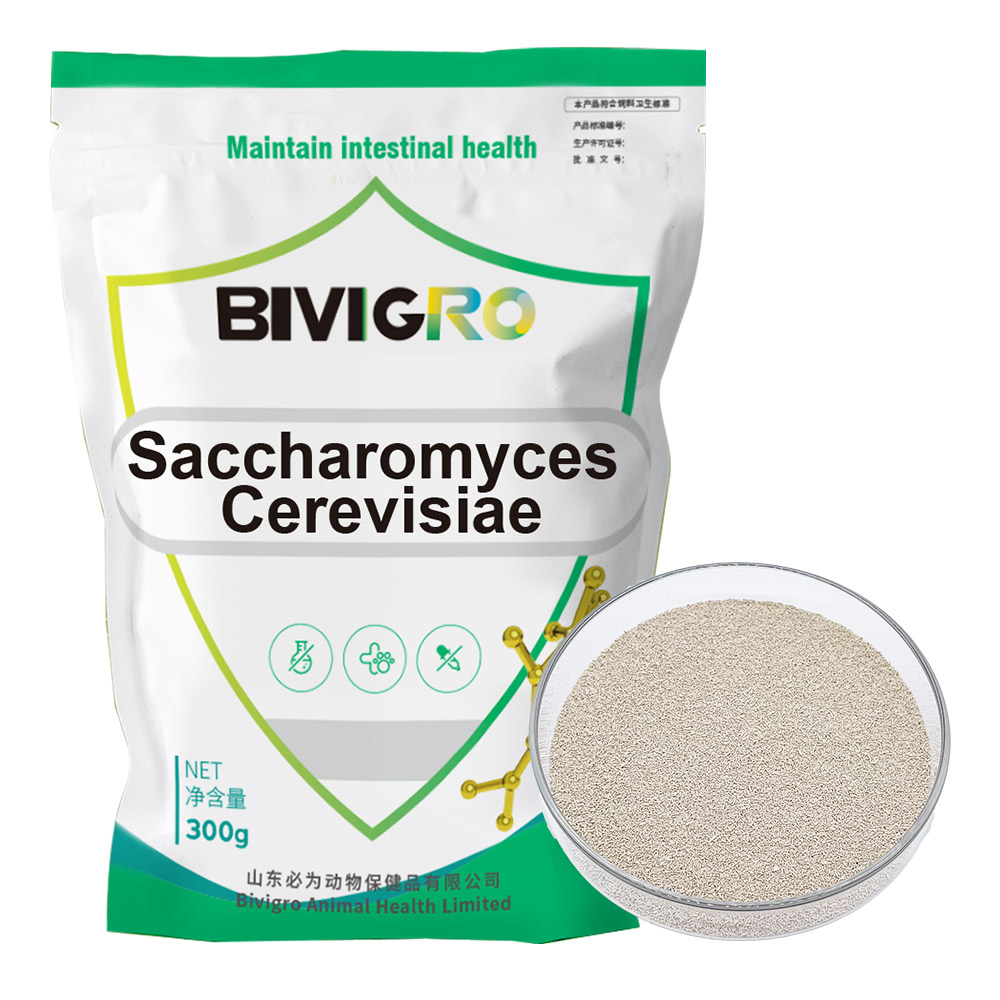 Суперкачественные водные пробиотики Bacillus Subtilis Bacillus Licheniformis для аквакультуры