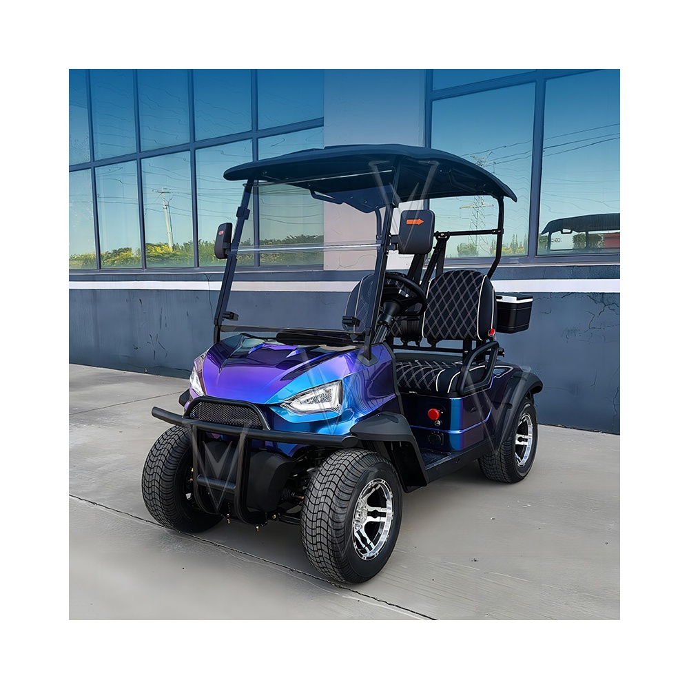 2 4 6 seater electric golf carts cheap prices buggy car for sale chinese club prezzi four enclosed power golf cart