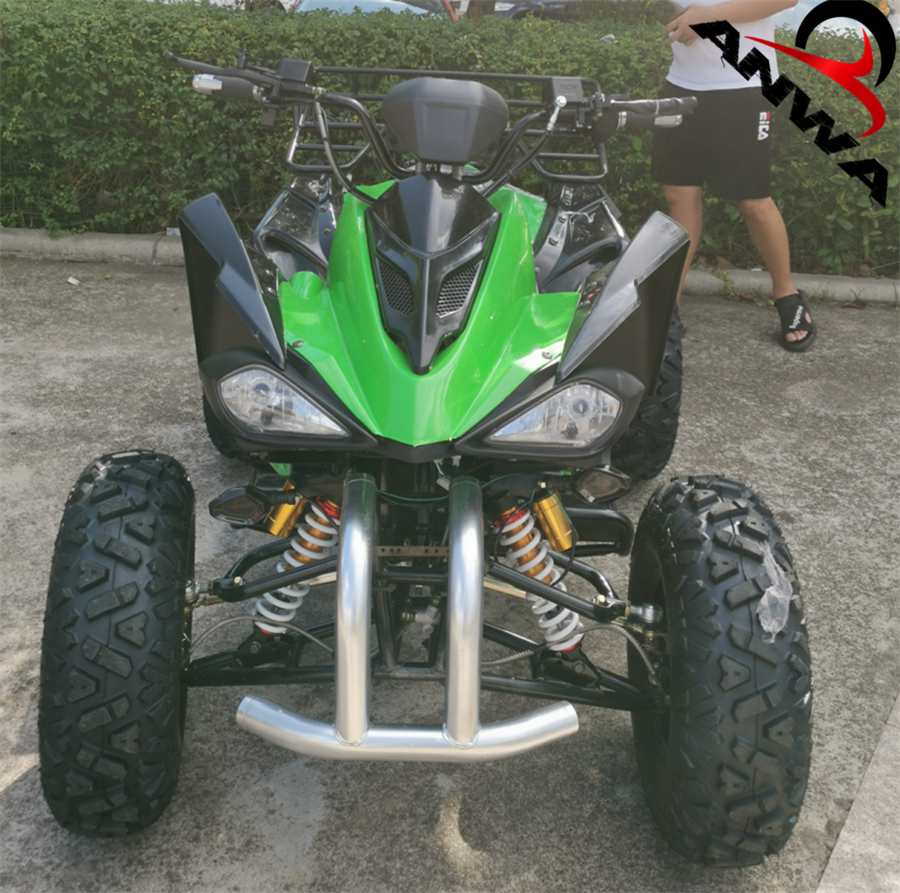 2500w 3000w electric ATV recing avt big power wholesale quad bike two passenger