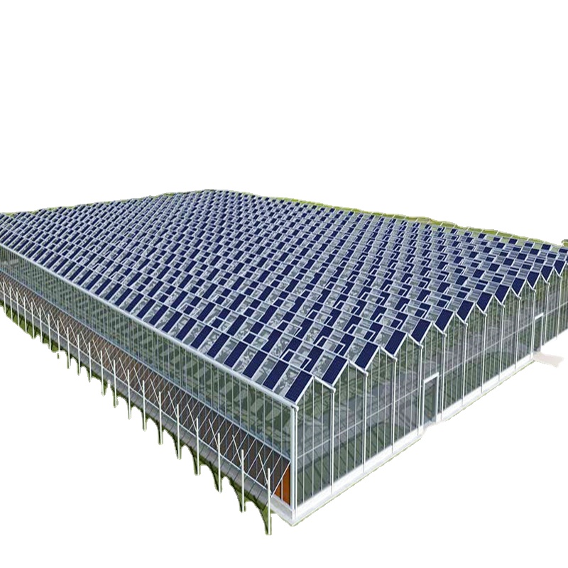 Photovoltaic Solar Greenhouse for sale