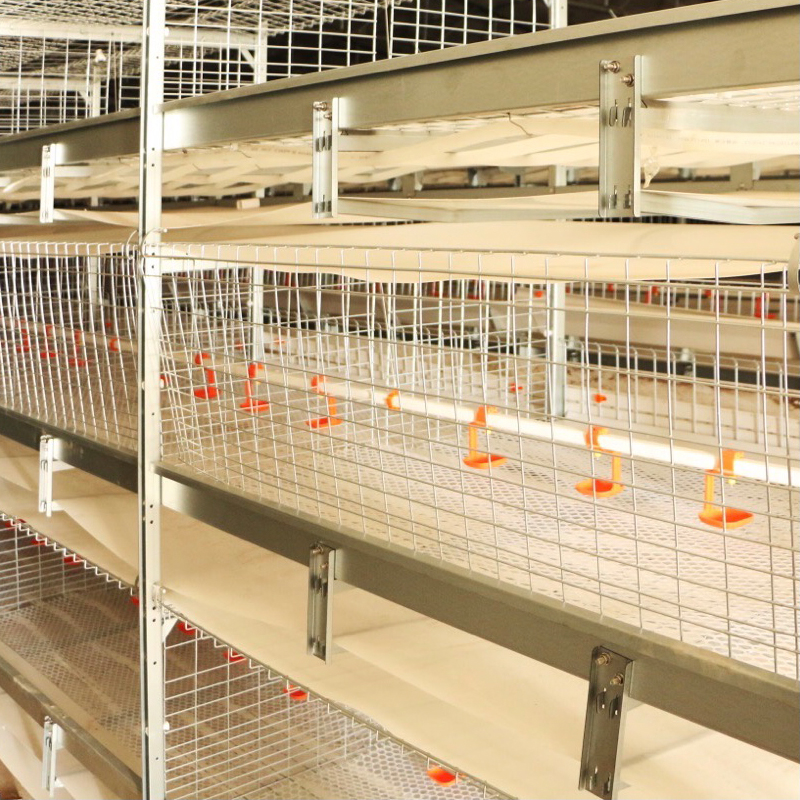 most popular automatic broiler battery cage system for chicken