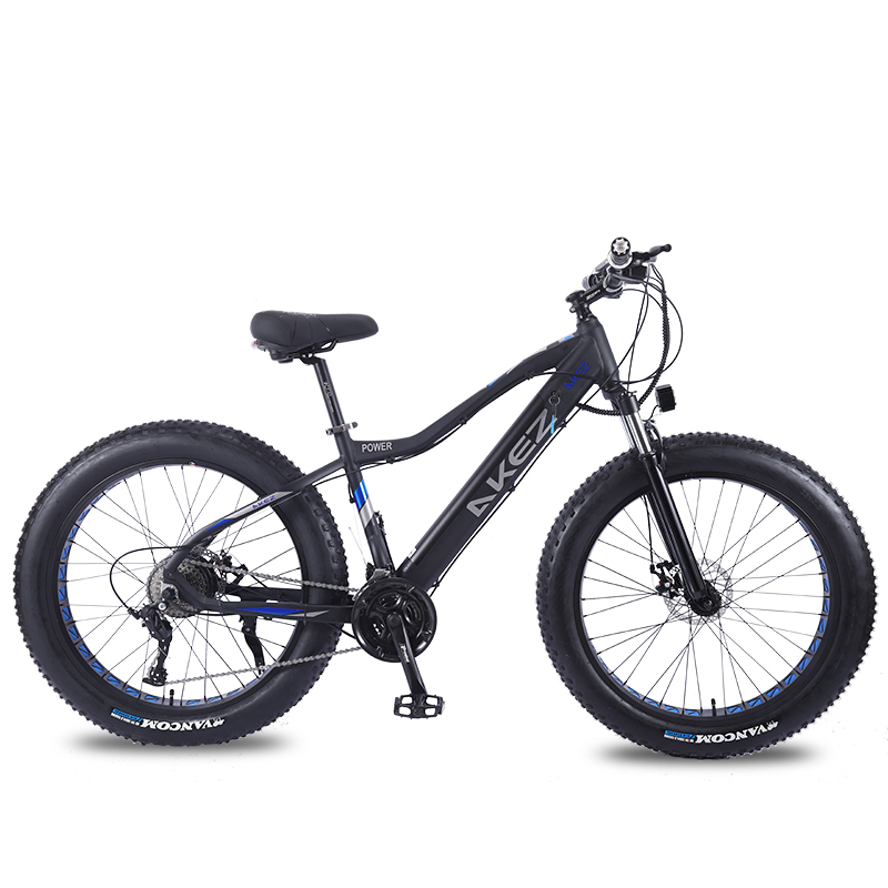 Ebike 1000 Вт на заказ ebike Скрытая батарея толстый Электрический велосипед 750 Вт 1000 Вт пляж горный жир шин Электрический велосипед