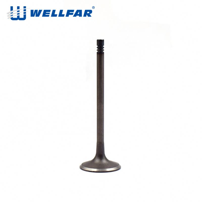 Wellfar OEM производитель BYJ CEAA CADA детали двигателя OEM 06J 109 611A Впускной Выпускной клапан