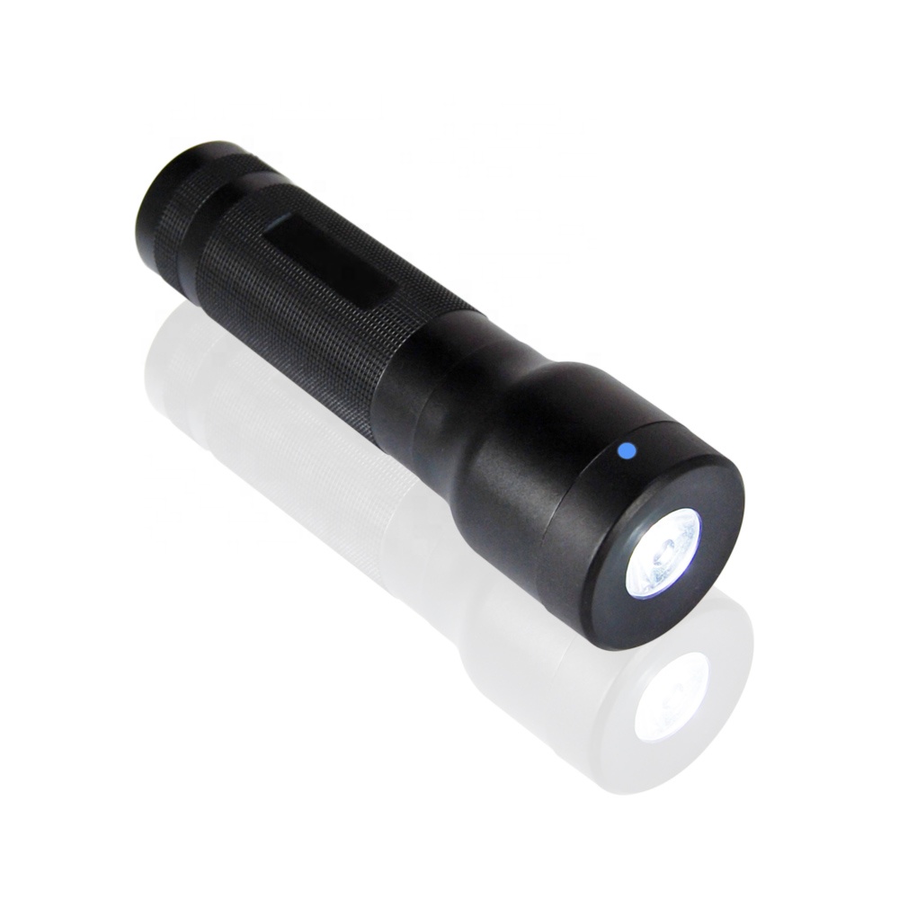 Strong Flashlight rfid guard tour system (GS6100UL)