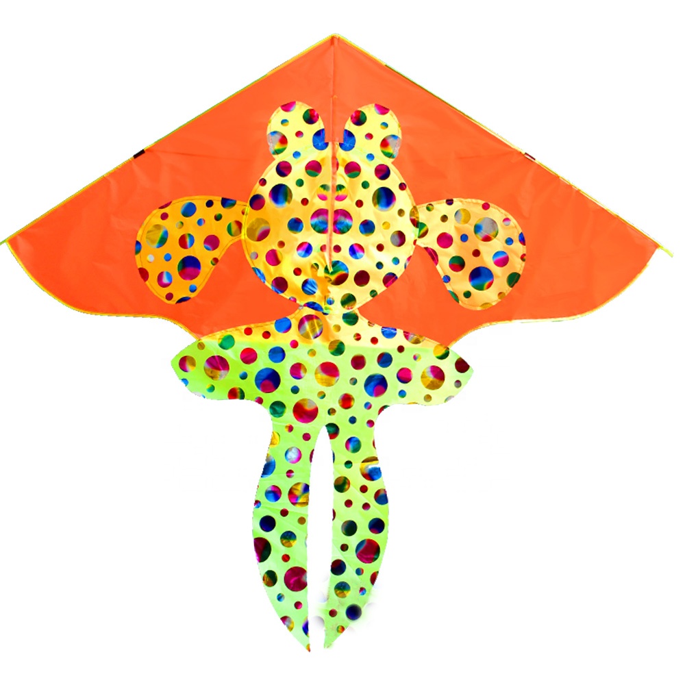 Quality assurance hot sell New type OUtdoor games fashion north bol plastic fish kite