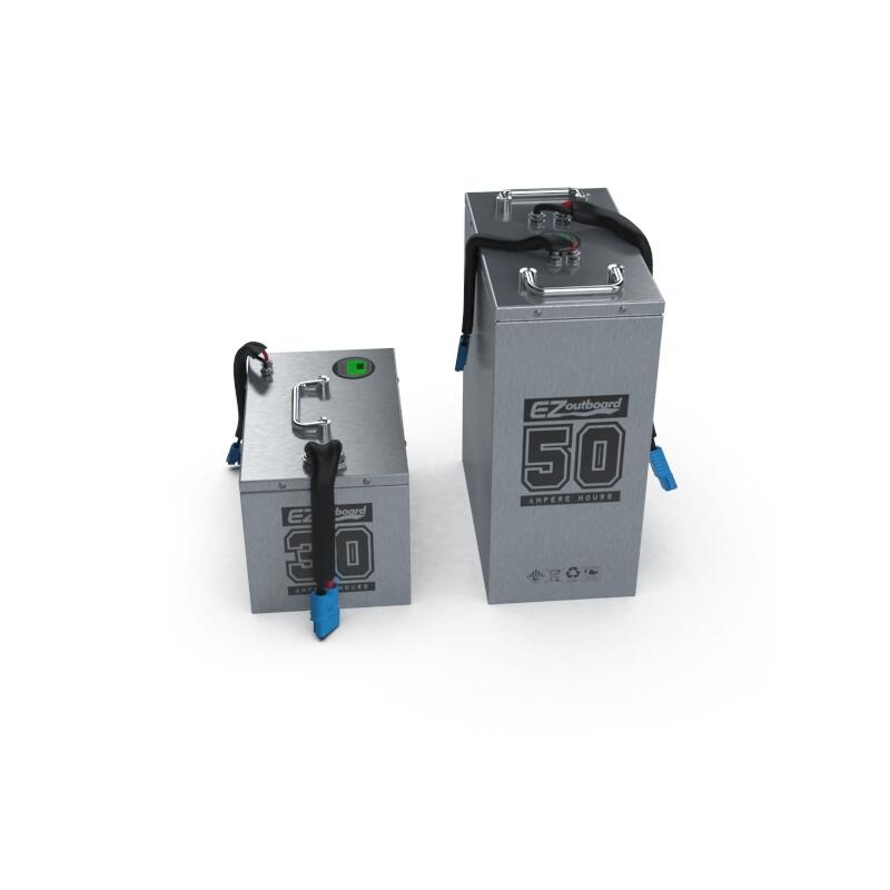 Промо-акция! 48V3 0Ah/50Ah перезаряжаемый LiFePO4 литий-ионный аккумулятор для электрического автомобиля подвесной мотор инвалидной коляски,