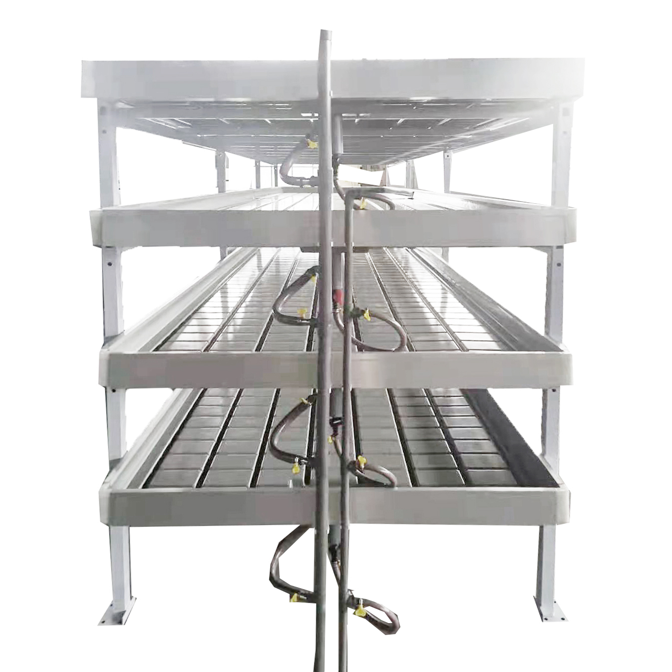 Customized Flood Tray Tables Ebb And Flow Rolling Bench Outdoor Hydroponics Greenhouse Vertical Growing Rack System