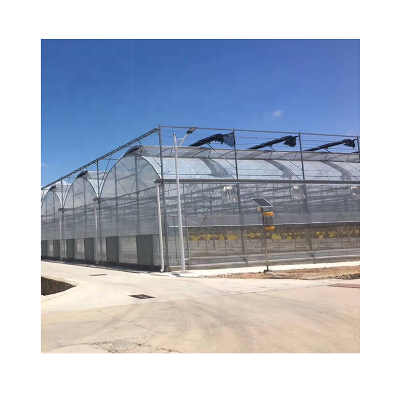 Professional Design Automatic Greenhouse Good Quality And Easily Installed Agricultural Green House Greenhouse