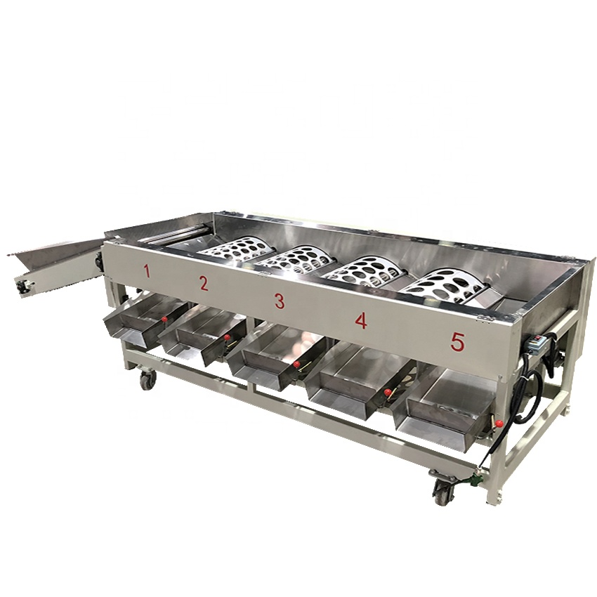 Factory price garlic grading machine tomato washing grading machine for fruit