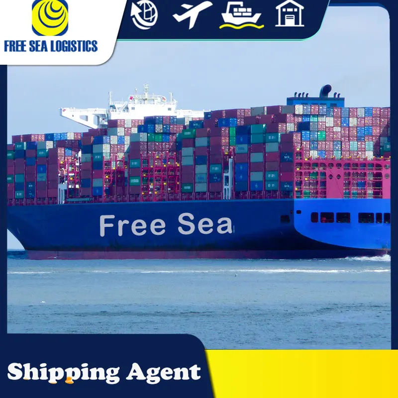 Cheap Fast DDP DDU FCL LCL sea Shipping freight forwarder China to UAE Oman Saudi Arabia Kuwait Egypt Yemen Dubai ship agent