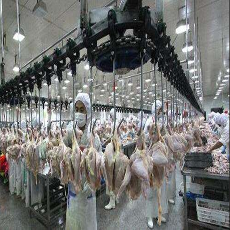 chicken killing line