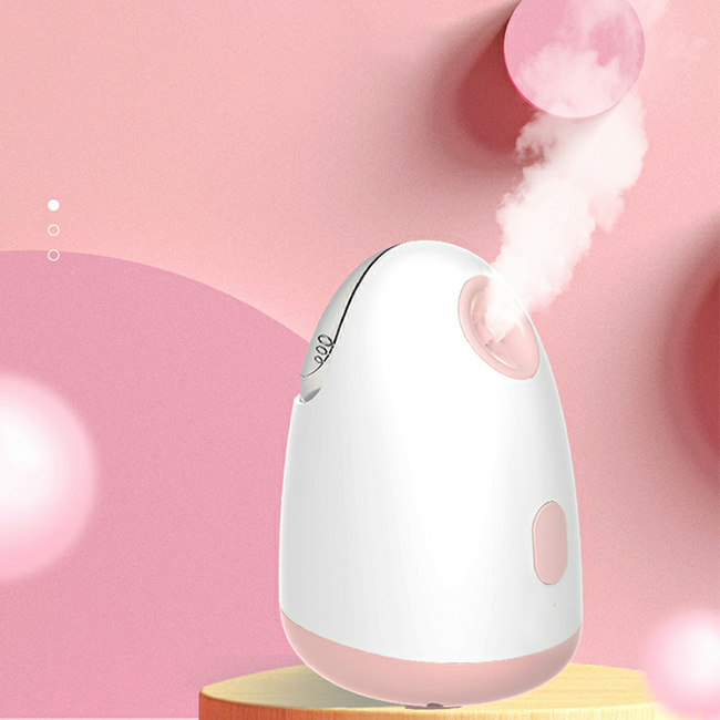 Wholesale Private Face Nano Facial Steamer Professional Portable Facial Steamer