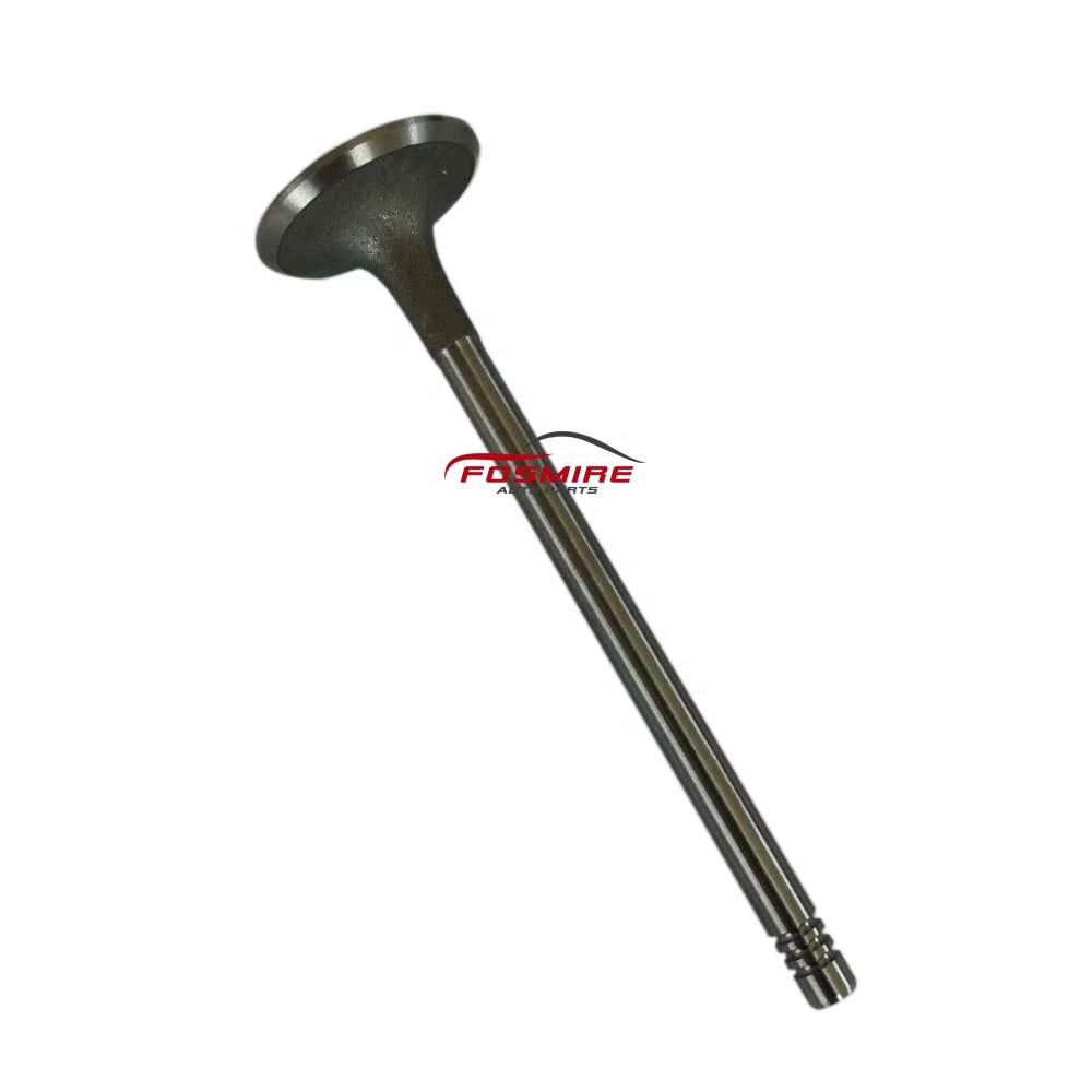 Впускной клапан для автомобилей китайского бренда CHERY 477F-1007011 fulwin