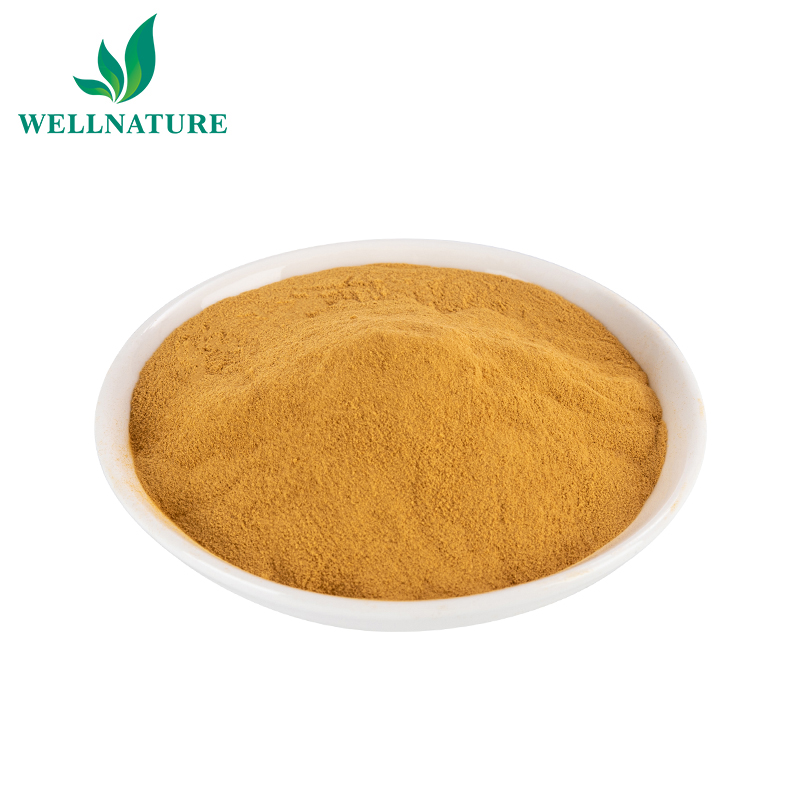 1 kg inactive yeast selenium-rich yeast gluthatione powder supplier