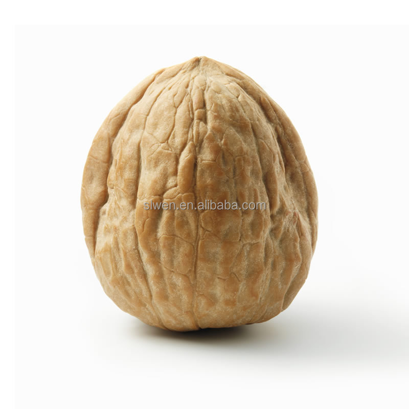 2021 New Crop Excellent Quality Dried Xinjiang 185 Walnut Inshell