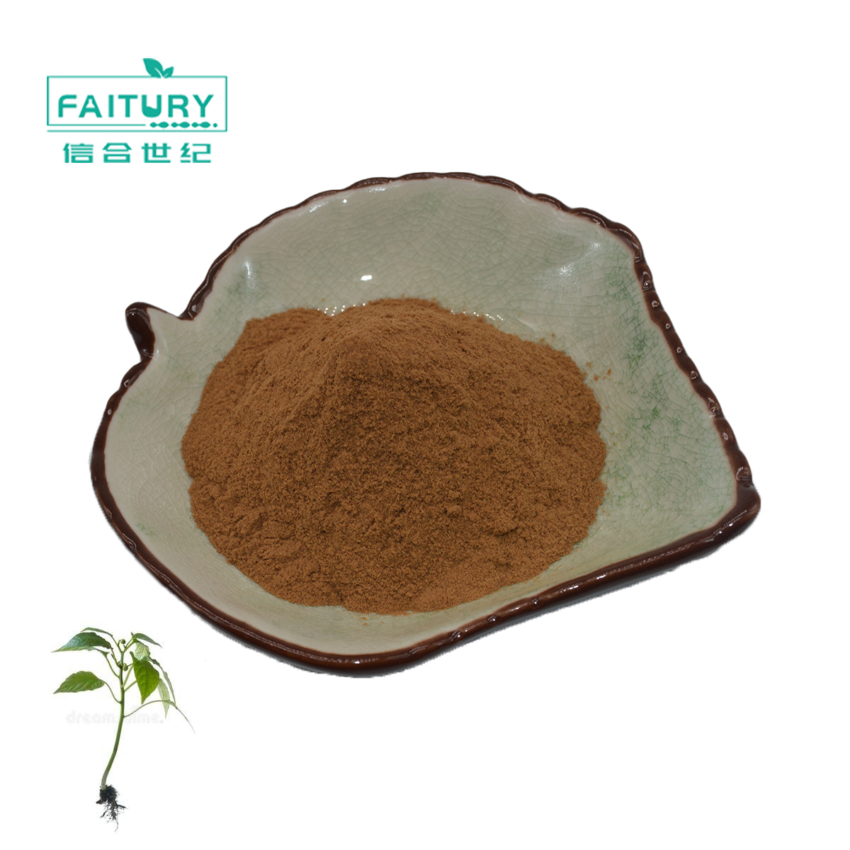 Поставка от производителя экстракт Kava kava 100% порошок экстракта kava