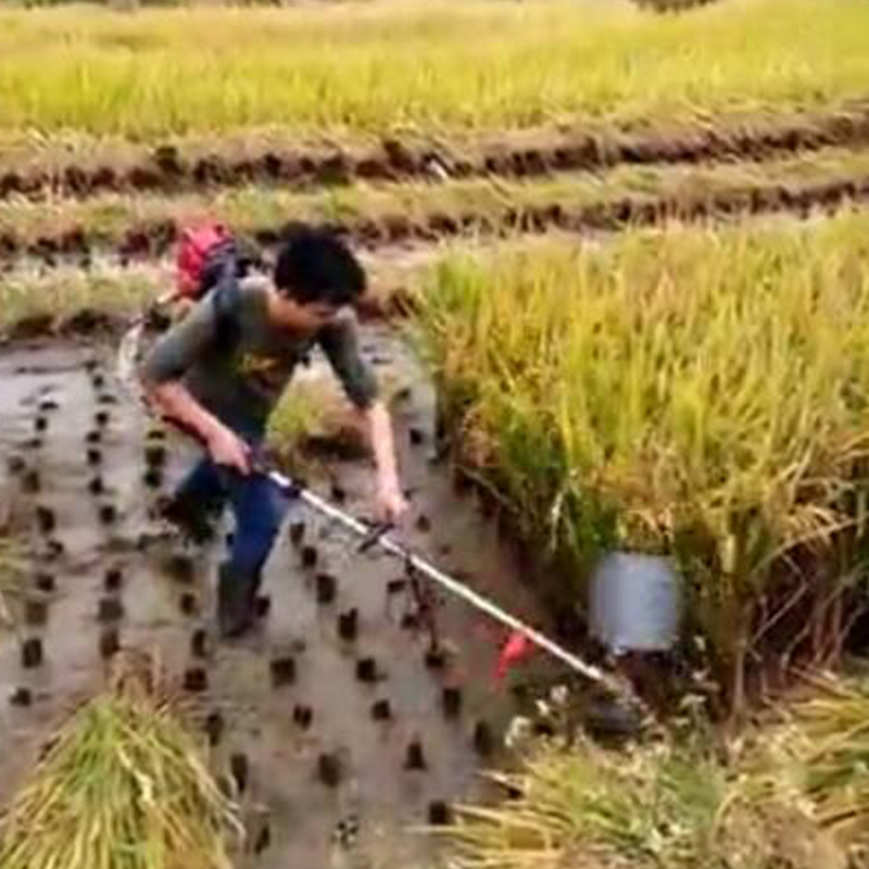 2021 hot selling high efficiency Rice harvester lawn mower Cut straw