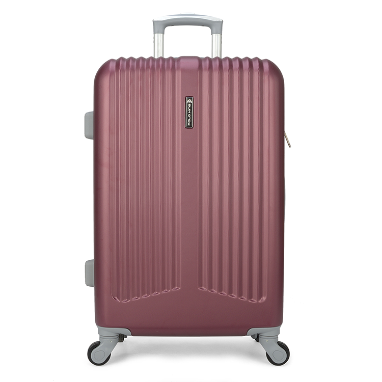 10 Years Manufacturing Designer Minimalist Large Bag Travelling Luggage
