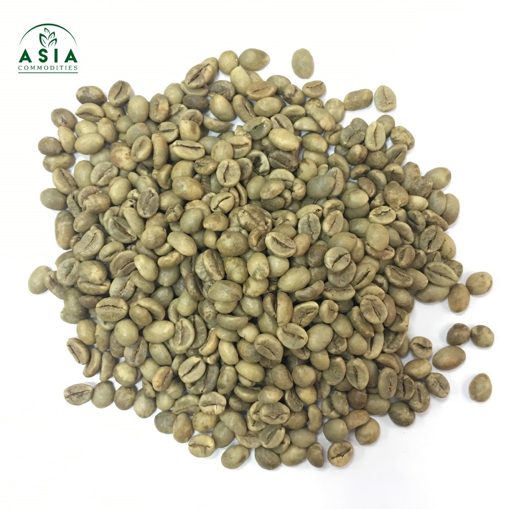 Vietnam Robusta screen 16 Wet Polished, green coffee beans, good price