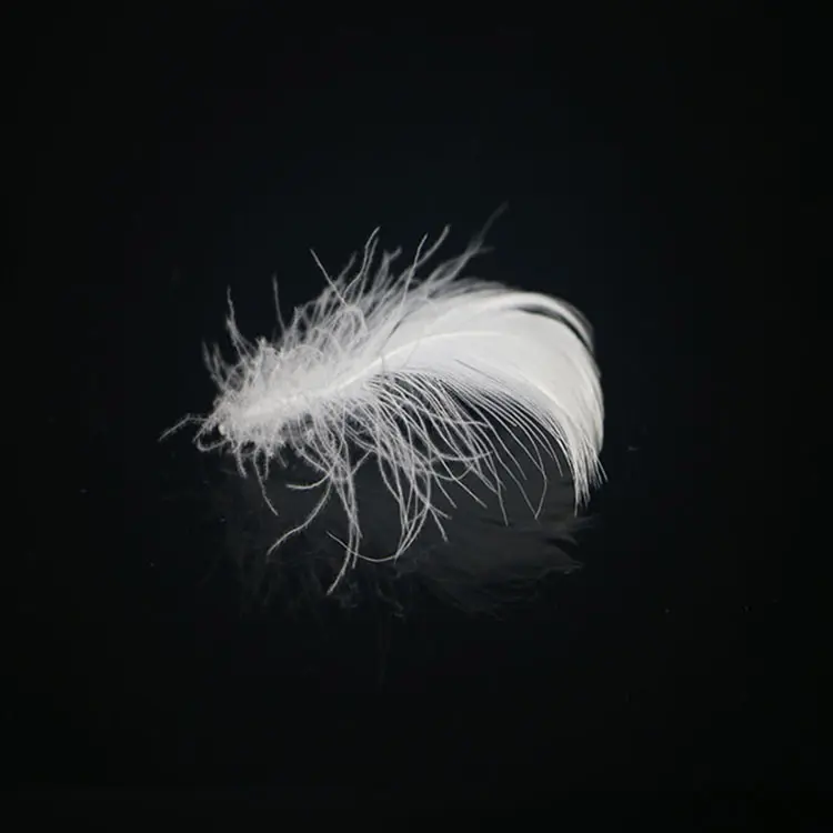 2-4cm High Quality Lightweight Bulk Down Materials Washed White Duck Feather White Feather