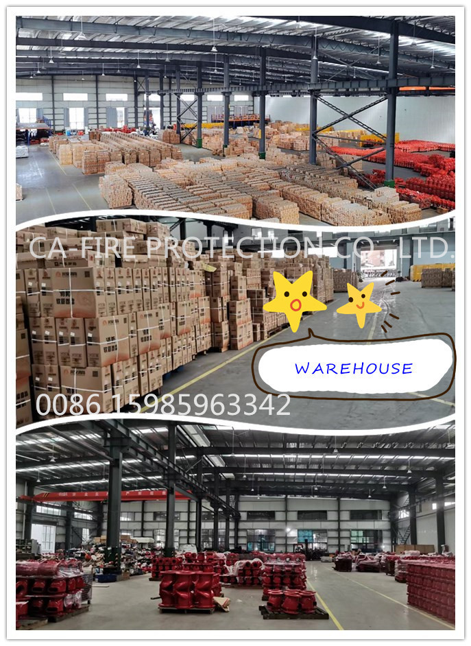 Fire Security Water Supply System Ductile Iron Flanged Y Strainer